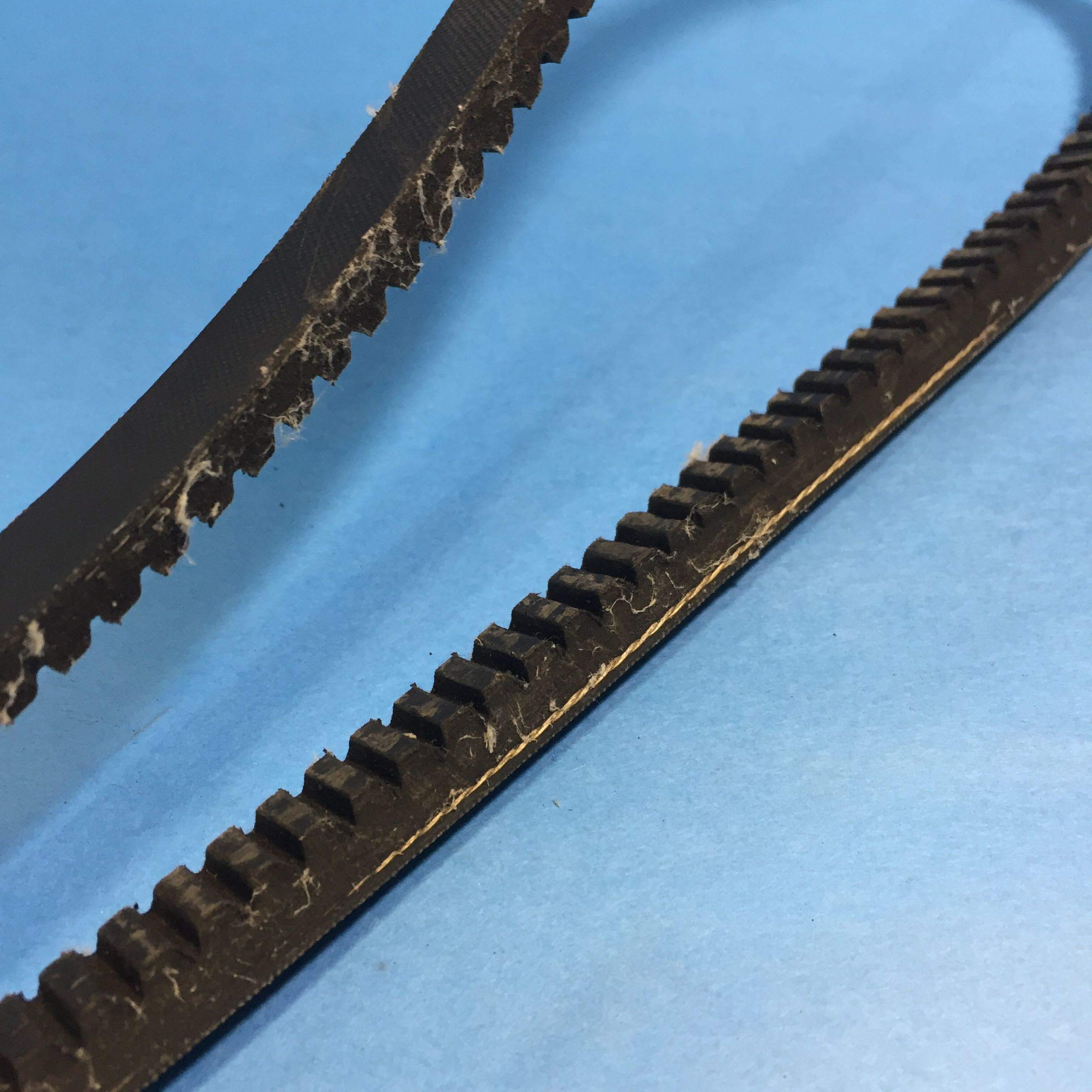 Browning AX42 Gripnotch Belt, AX Belt Section, 43.3 Pitch Length