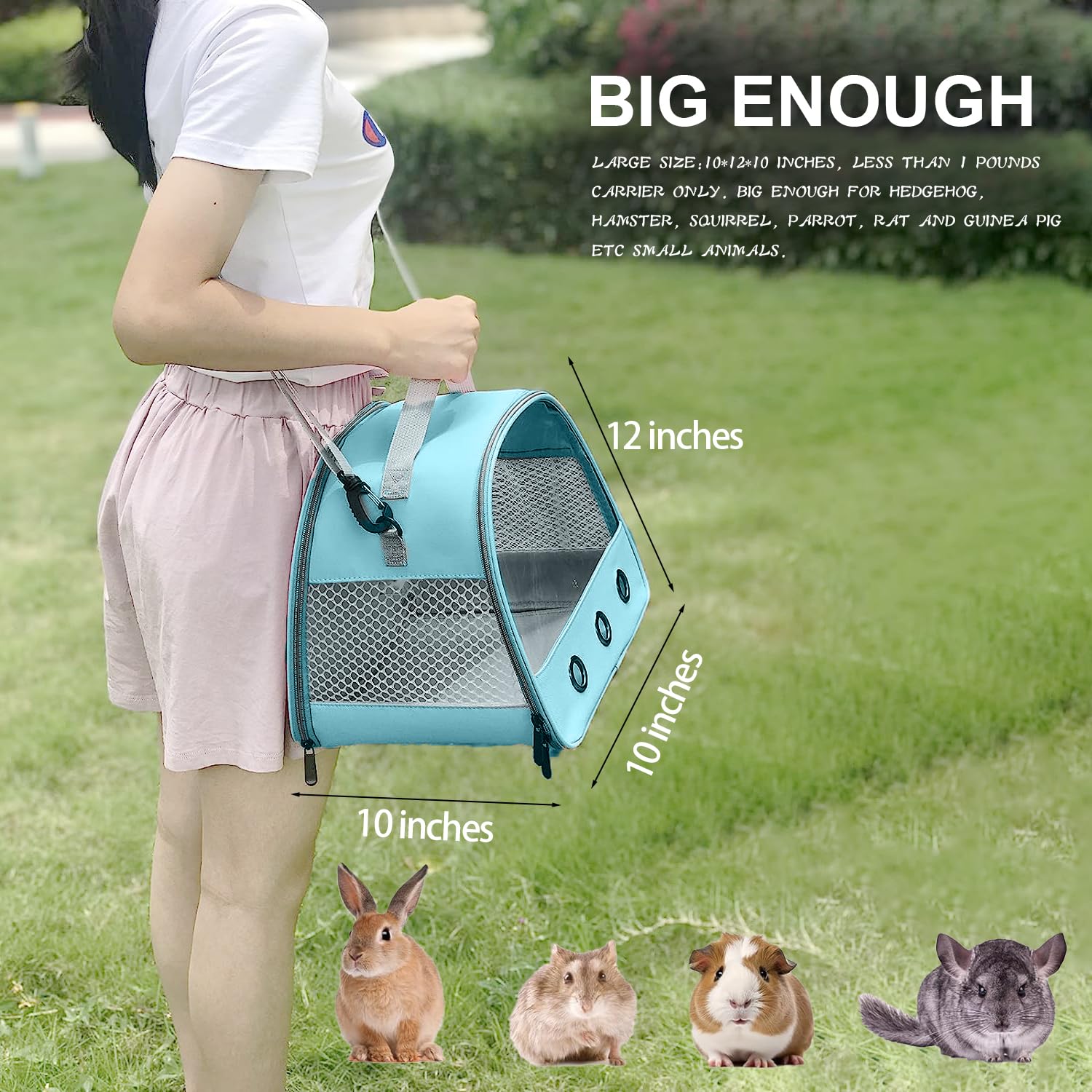 Bygytyo Bearded Dragon Travel Carrier with Lizard Leash Harness, Small Animal Carrier Bag Harness Leash with Bat Wings, 10X10X12, Blue