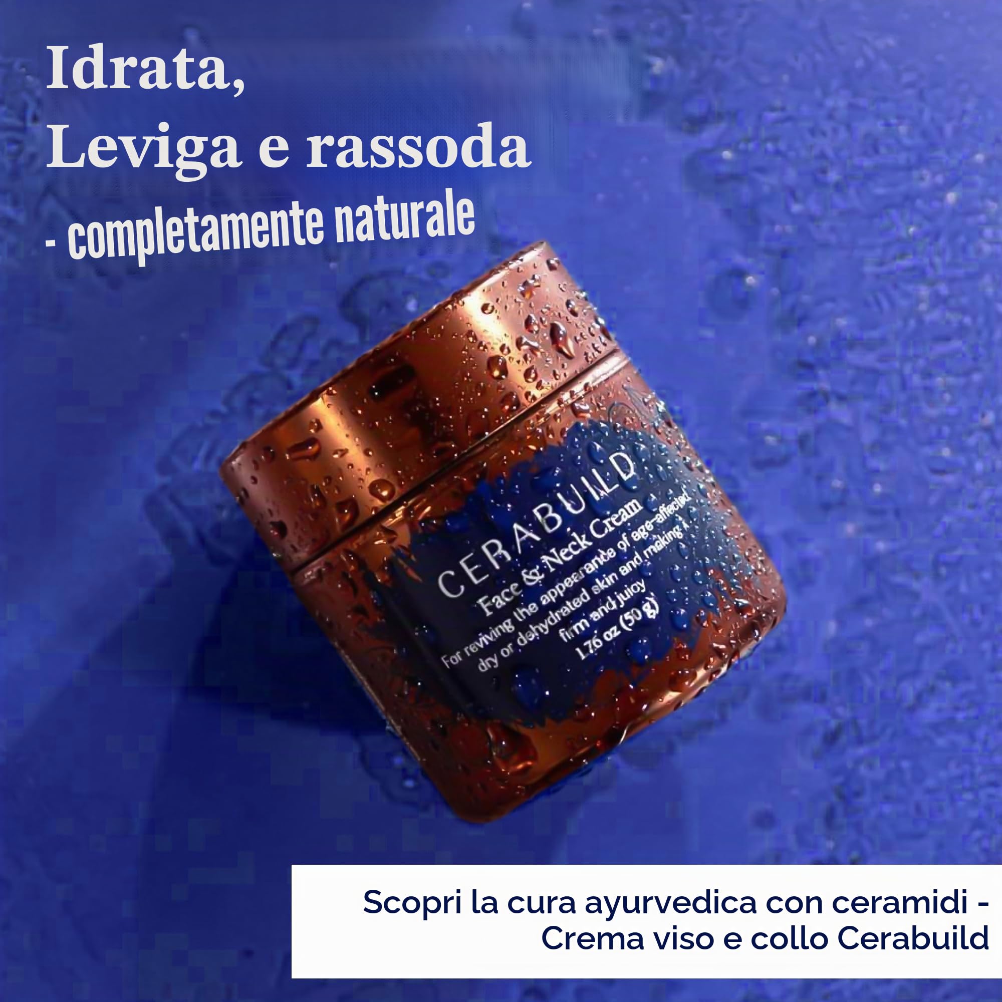Cerabuild - Crema viso e collo, idrata e leviga intensamente la pelle, crema barriera per la pelle infusa con fitoceramide con olio di Bakuchi e chebula, rimpolpante, rassodante, vegana, 50 g
