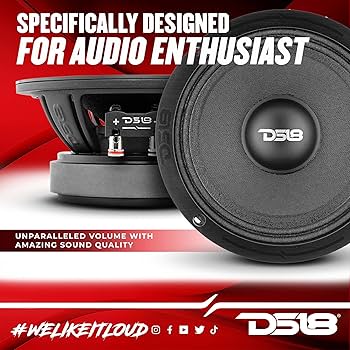 Amazon.com: DS18 PRO-ZXI6M 6.5