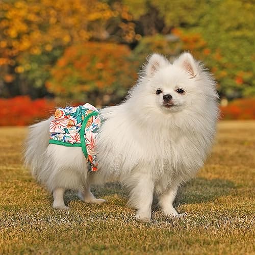 Miniatura 11 de Pañales reutilizables para perras, paquete de 3 pañales lavables altamente absorbentes, pañales flexibles para perritos, a prueba de fugas, pañales