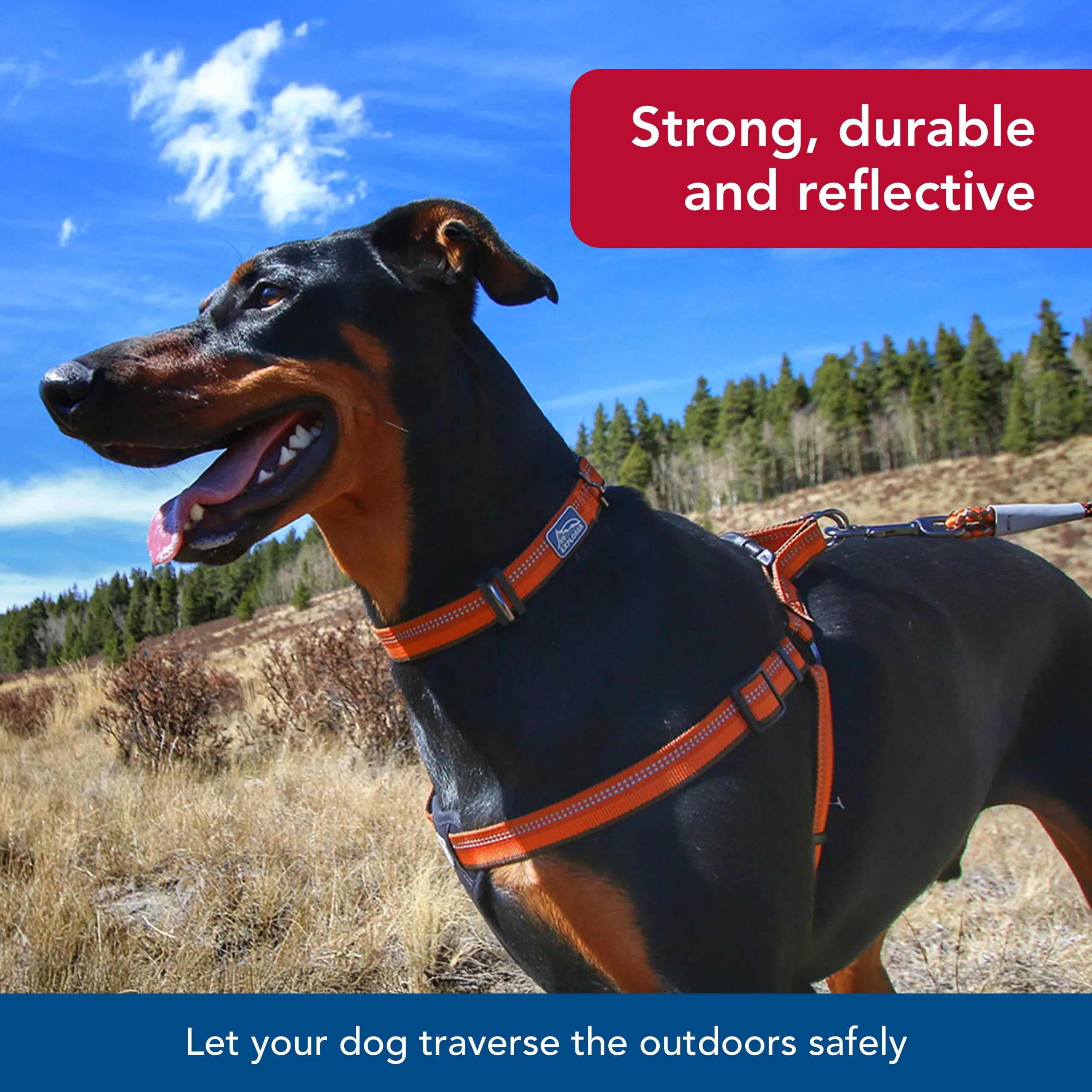 Amazon.com : Coastal Pet K9 Explorer Reflective Adjustable Dog 