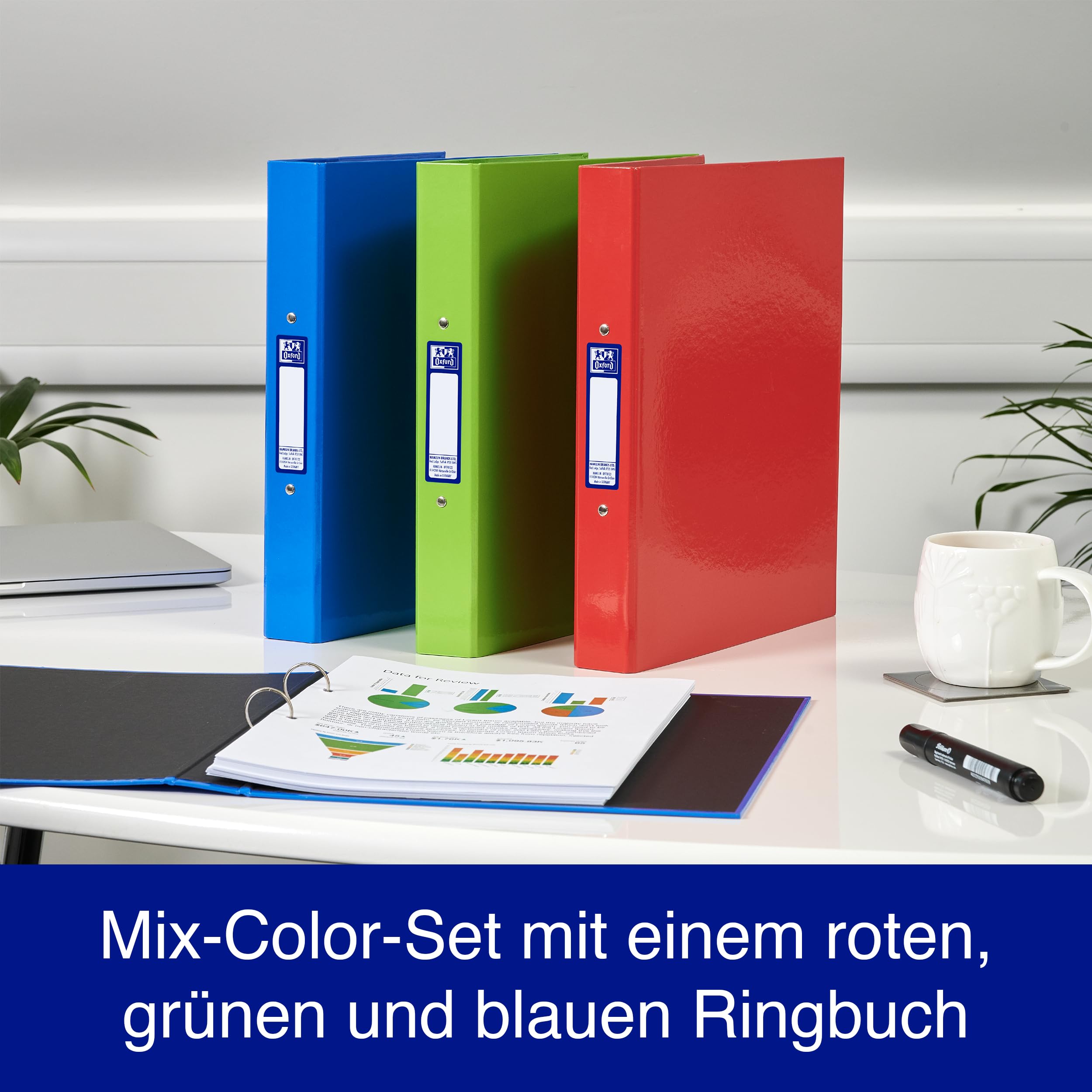 Oxford Segregator A4, szerokość grzbietu 4 cm, mechanizm 2-pierścieniowy, czerwony, zielony, niebieski, 3 sztuki