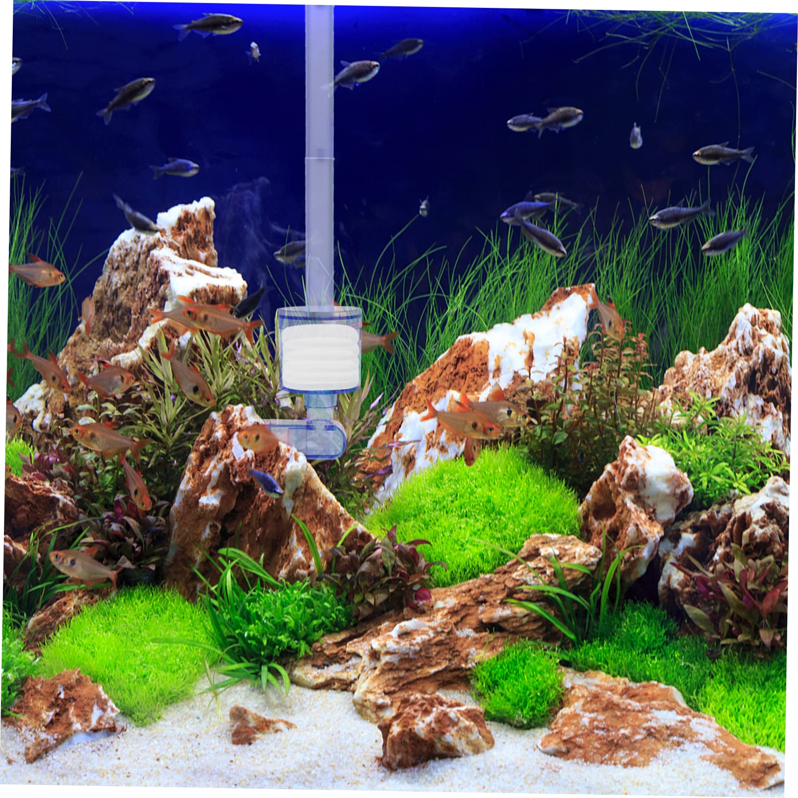 Happyyami 30stücke Dicke Aquariumreinigungspads Austauschbare Filtermatten Für Fischbehälter Effektive Biochemische Filtration Hohe Wasserpermeabilität Zur Reinigung Von Aquarien Und