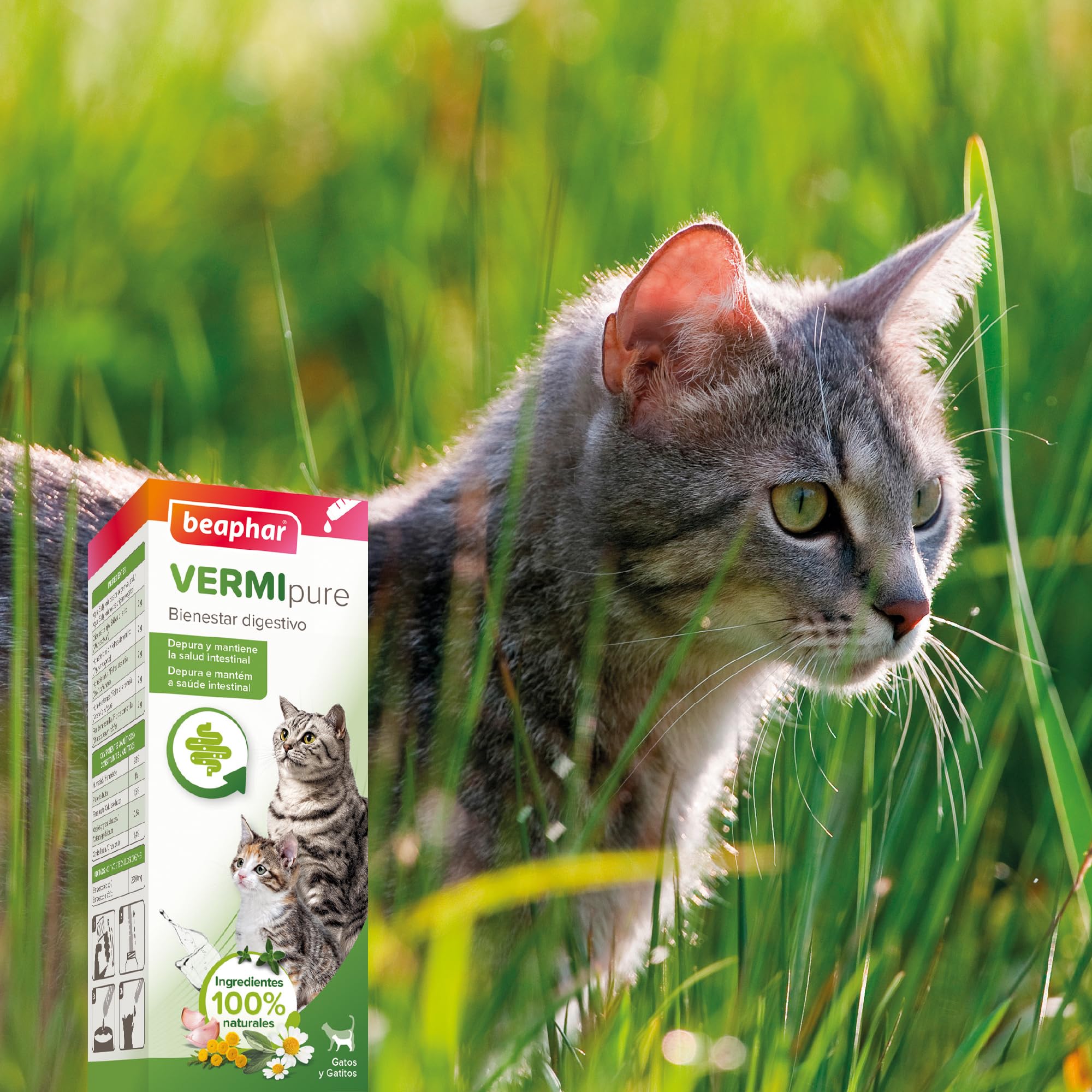 Beaphar VERMIpure Solución Líquida Natural Gatos y Gatitos - 50ml