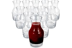 Glass Wine Carafe Set of 12, the Perfect Mini Decanter