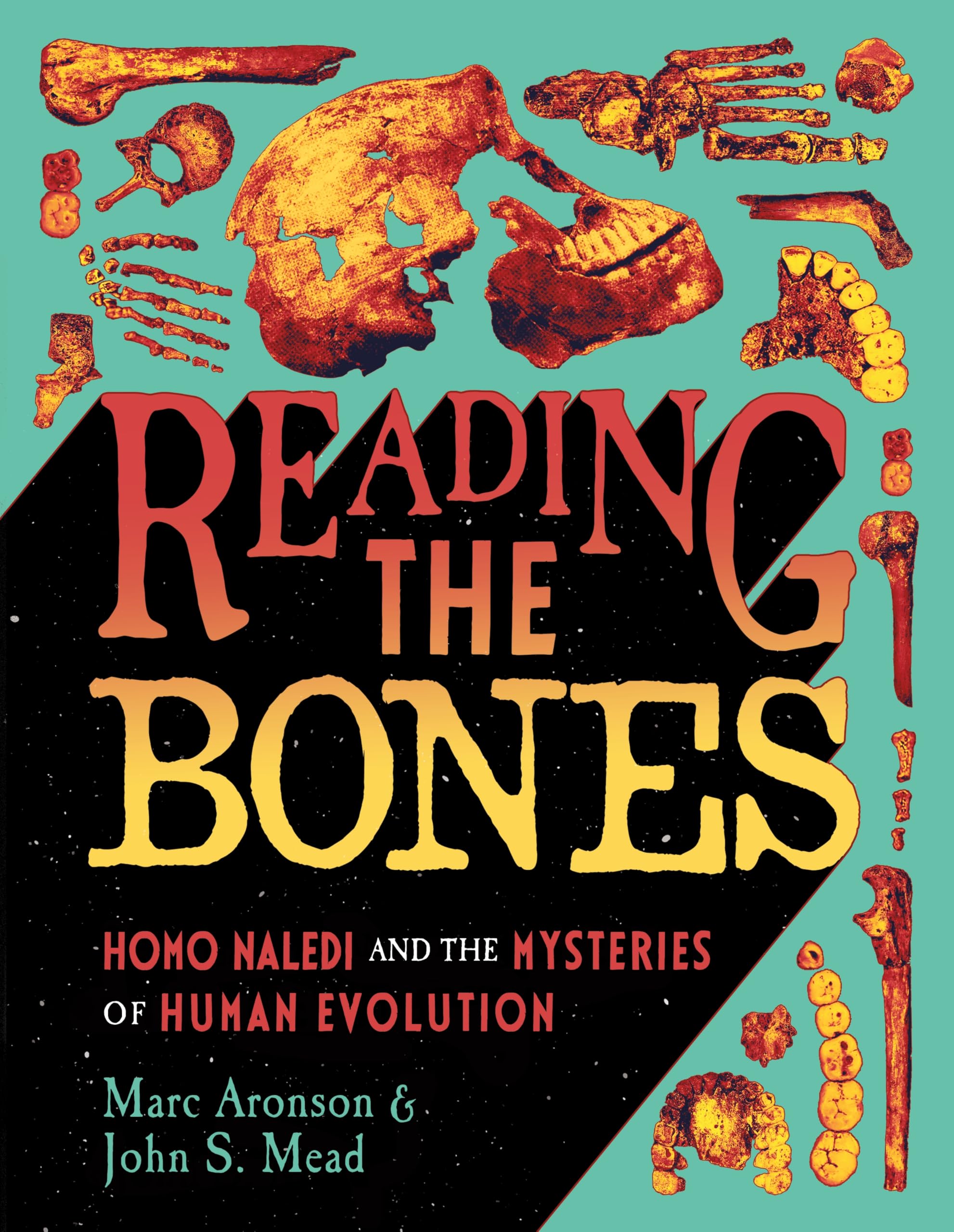 Reading the Bones: Homo Naledi and the Mysteries of Human Evolution