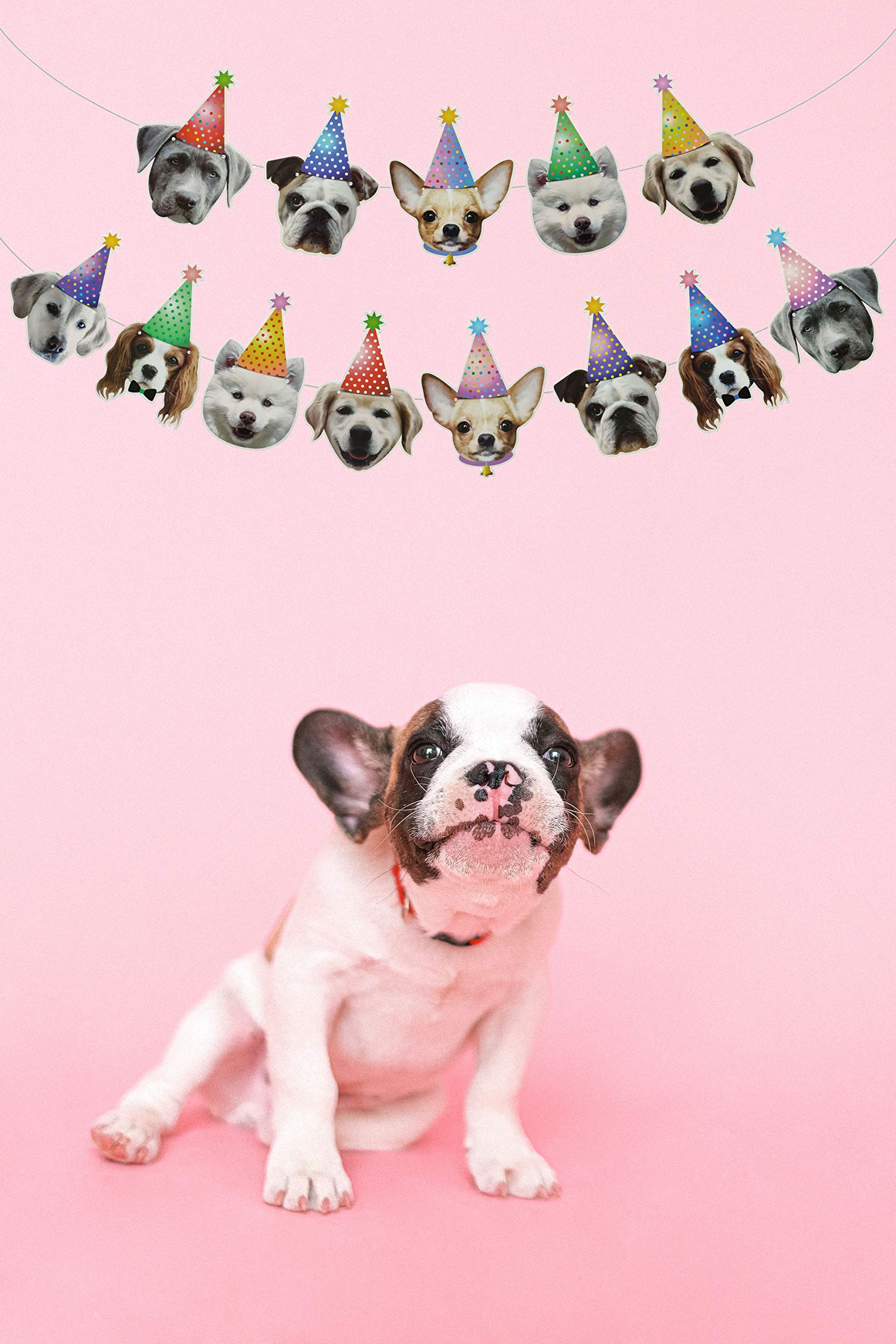 Dog Face Birthday Banner & Garland - 13-Piece DIY Pet Portrait Decoration For Dog Theme Parties