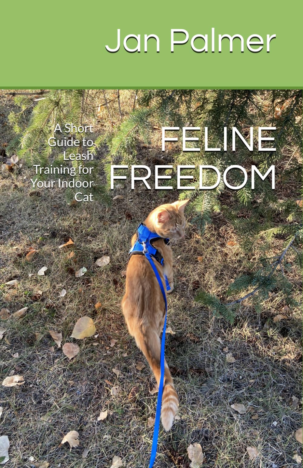 FELINE FREEDOM: A Short Guide to Leash Training for Your Indoor Cat