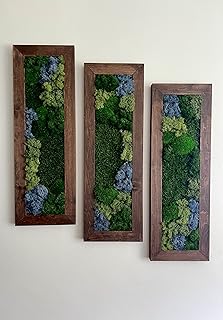 Moss Wall Art | Preserved Moss Art Framed | Moss Wall Decor | Moss Wall Sets | Large Rectangle Single to Six Set | Reindeer Moss Pole Moss (Pine, Set of Six)