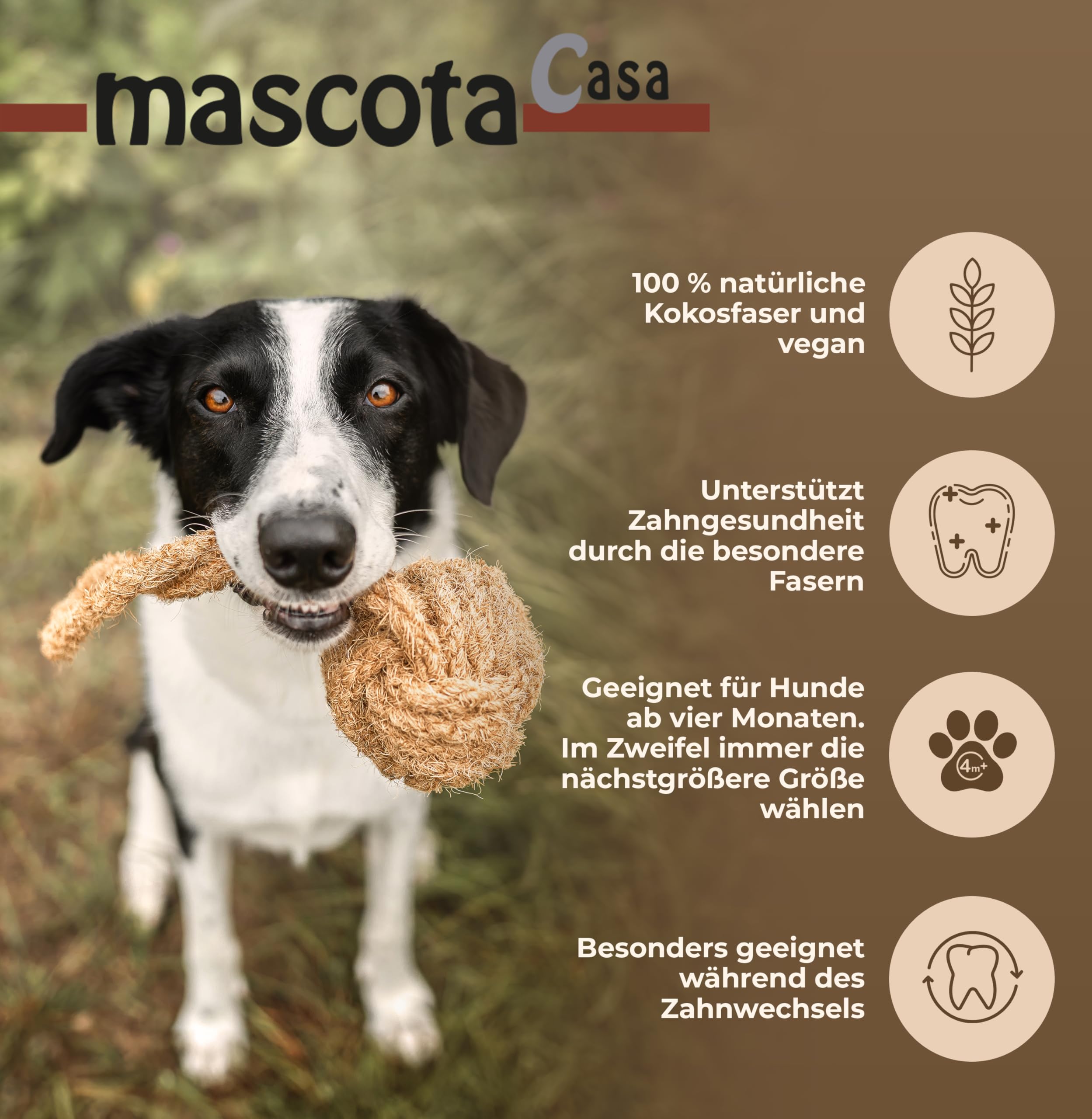 Naturalna zabawka dla psa z liny z 100% włókien kokosowych – trwała zabawka do żucia, wsparcie w pielęgnacji zębów podczas zmiany zębów, trwała i ekologiczna zabawka dla psa (Coco Ball