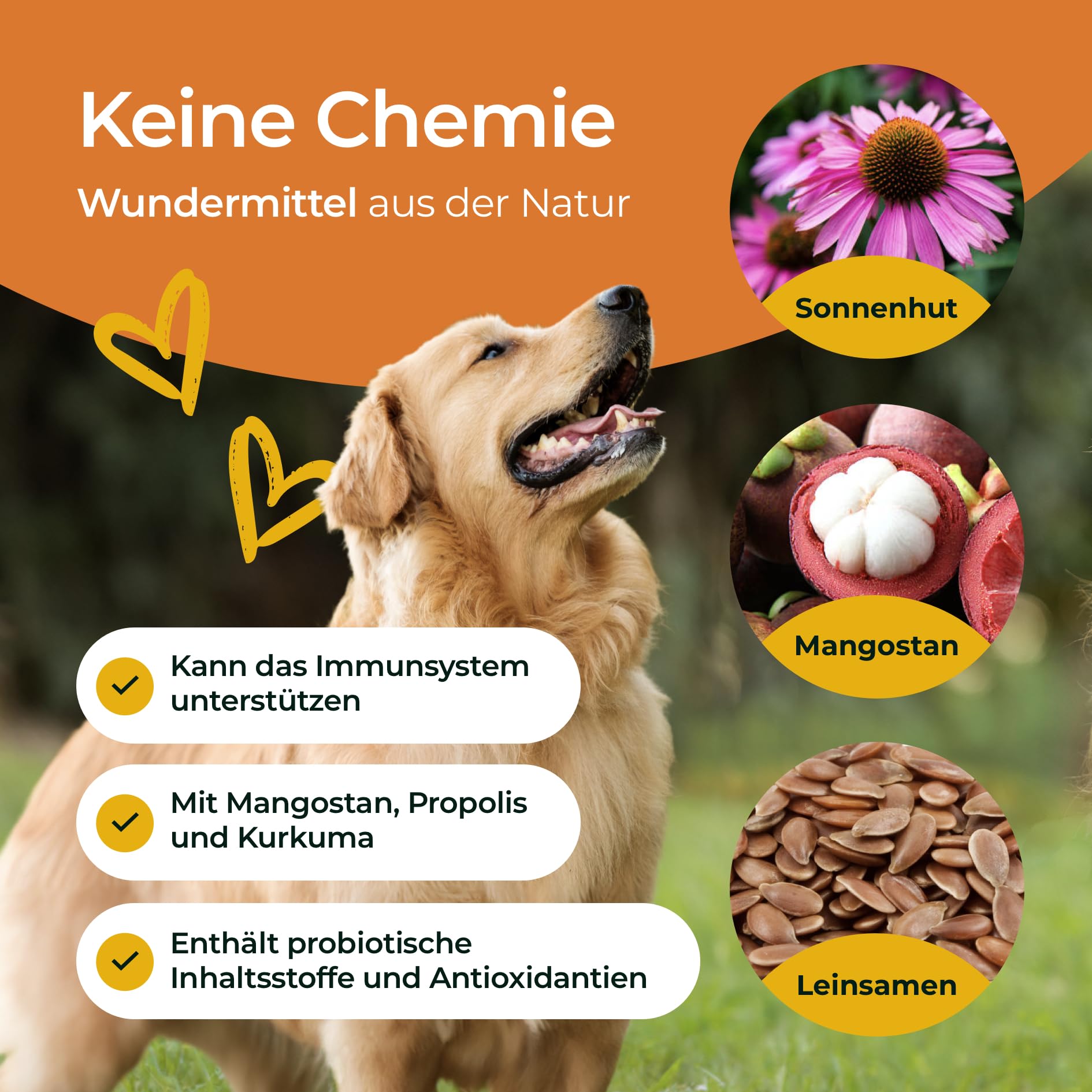 Aller-Immun 300 g – dodatkowa karma – granulki multiwitaminowe dla psów – kompleks witaminy B, witamina C i propolis – suplement diety dla psów – Made in Germany