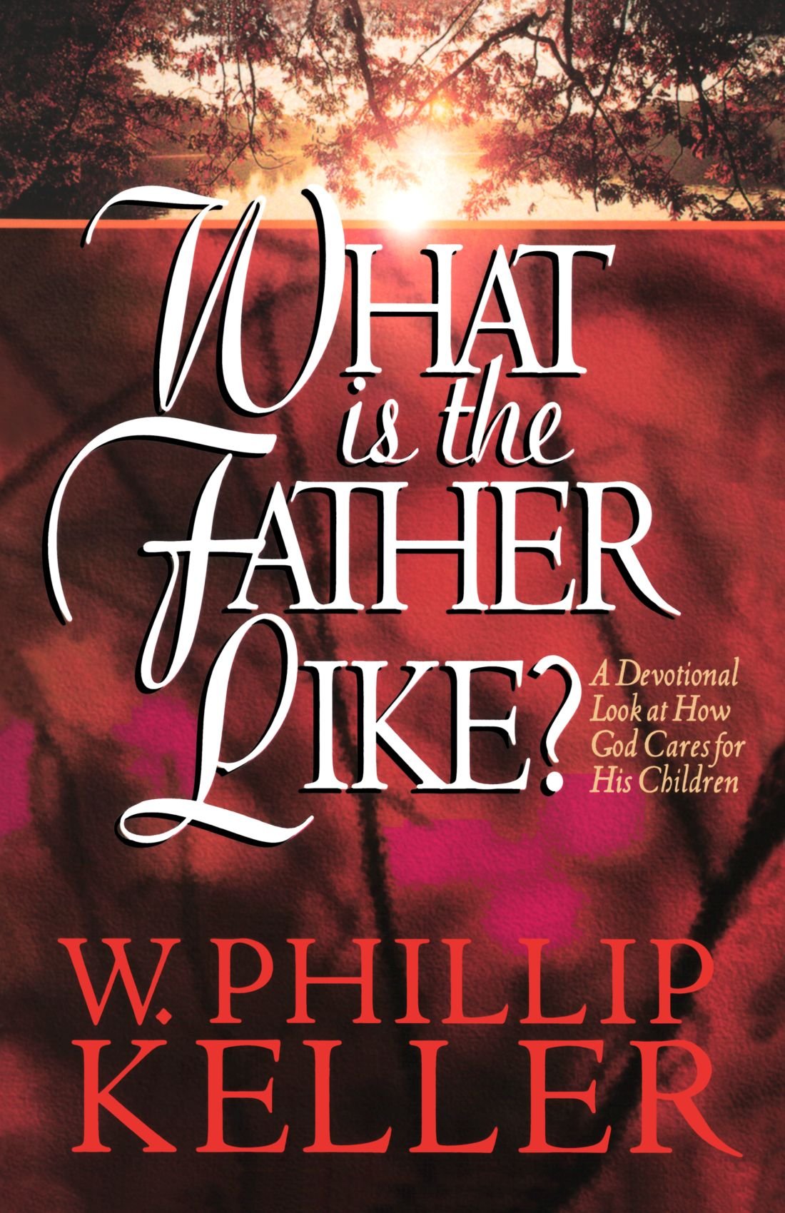 What Is the Father Like?: A Devotional Look at How God Cares for His Children