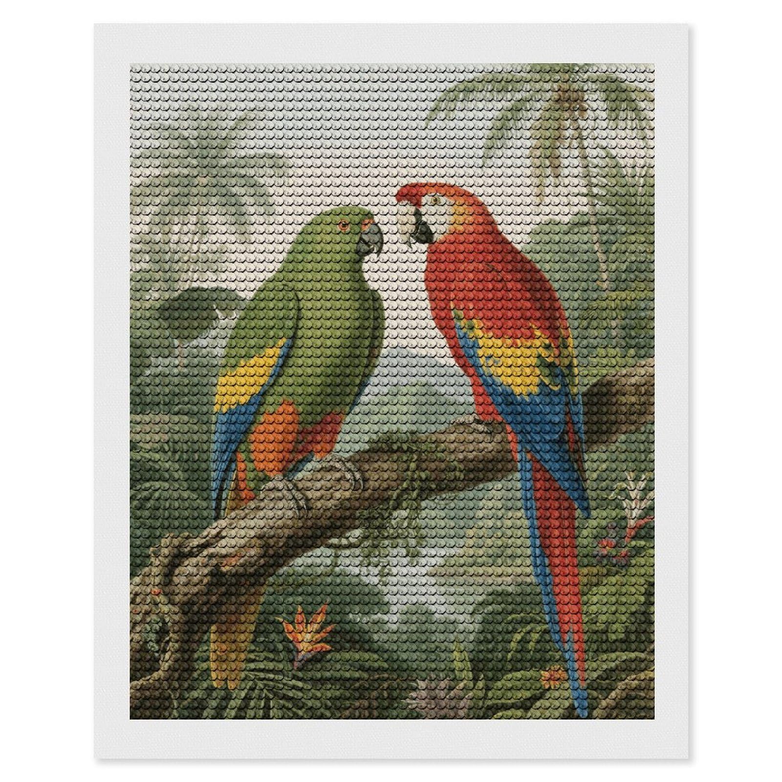 FodPand Parrot 5D Diamond Painting Kits for Adults Beginners Full Drill Round Diamond Dots Pictures Gem Art Supplies for Home Wall Room Decoration DIY Craft Set Gift 16x20