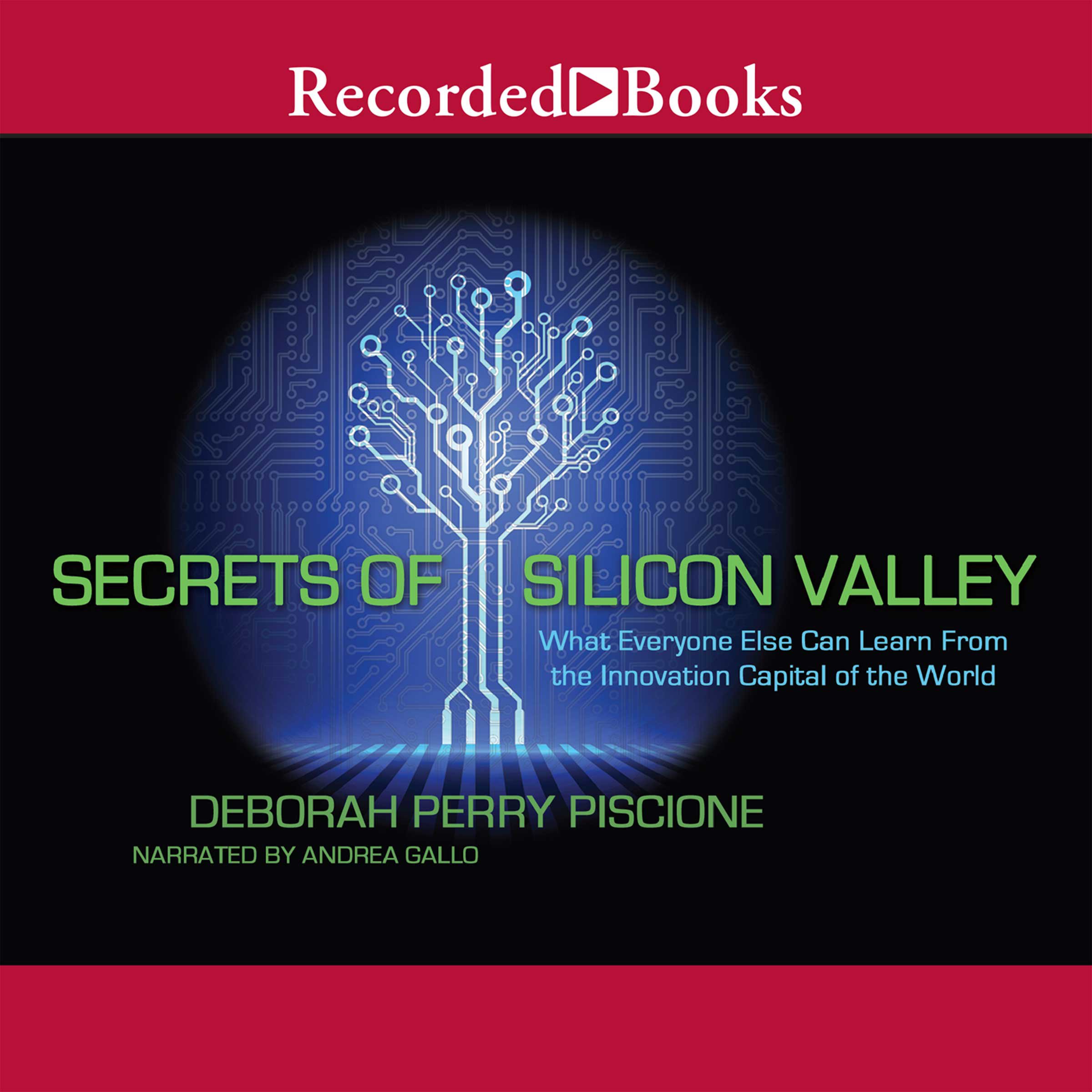 Cover art for Secrets of Silicon Valley
