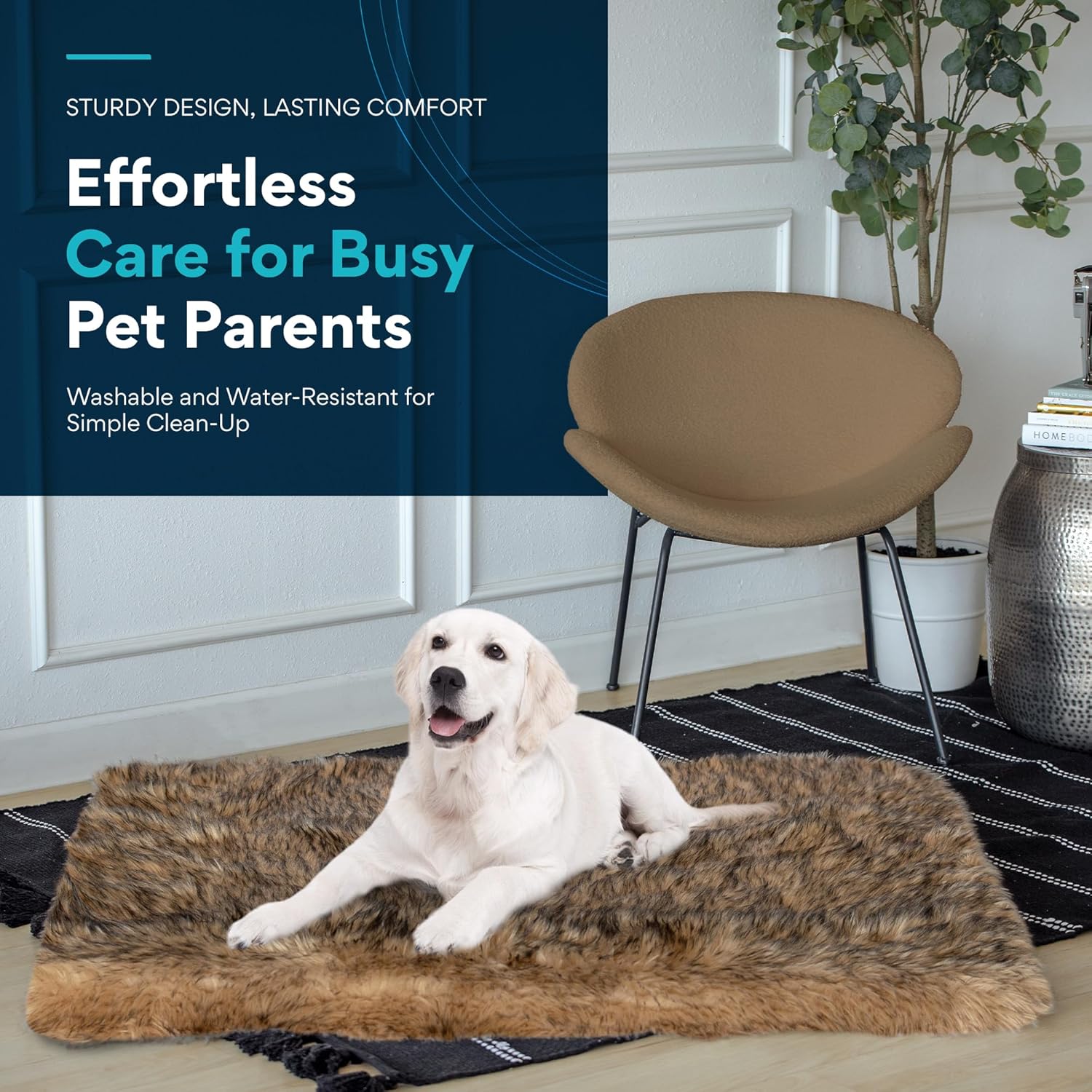 The Ultimate Dog Comfort: MAVERICK Orthopedic Memory Foam Bed Review