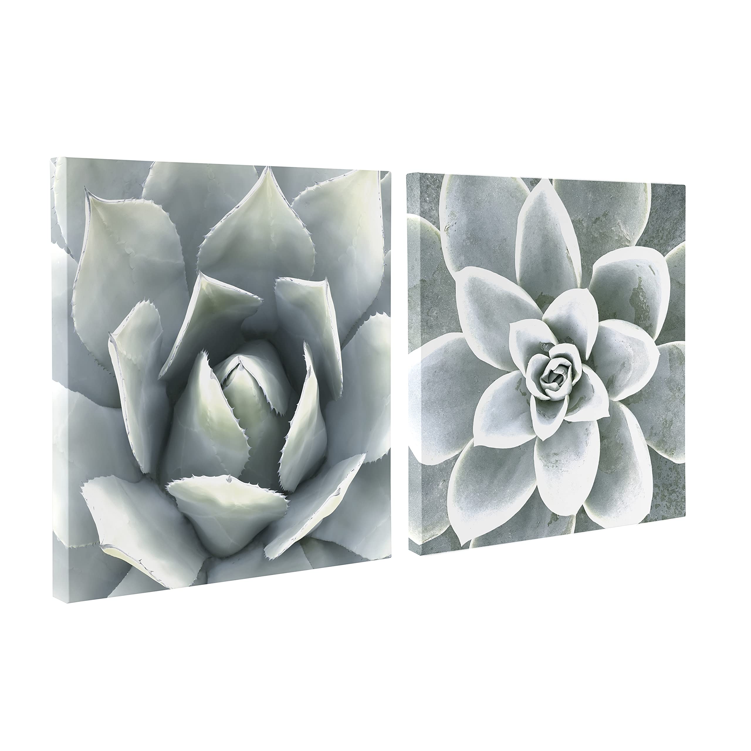 Kate and Laurel Soft Botanical Succulents Canvas Wall Art Set by The Creative Bunch Studio, 2 Piece 20 x 20, Plant Art for Wall