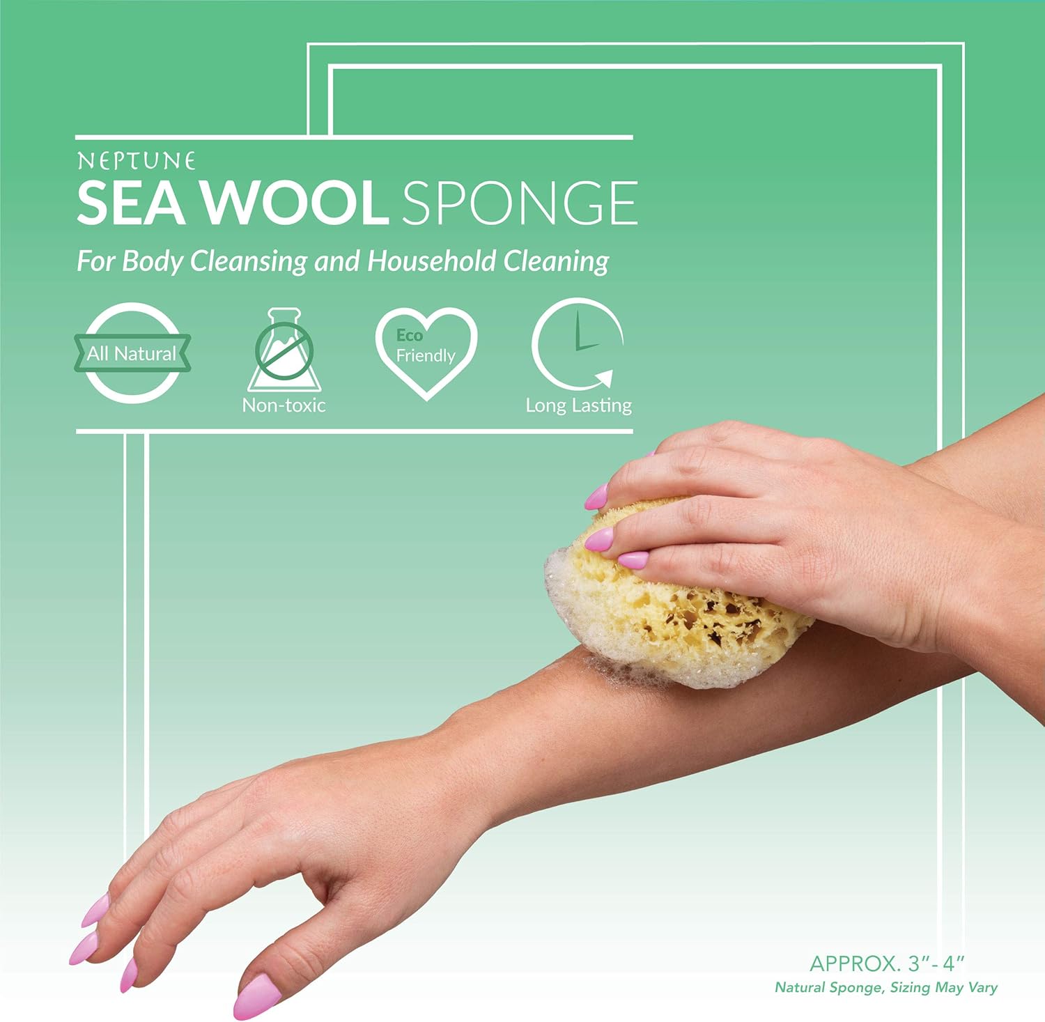 Neptune Natural Sea Wool Sponge - All Natural Honeycomb Renewable Sea Sponge, Medium, Approx. 4 Inches : Beauty & Personal Care