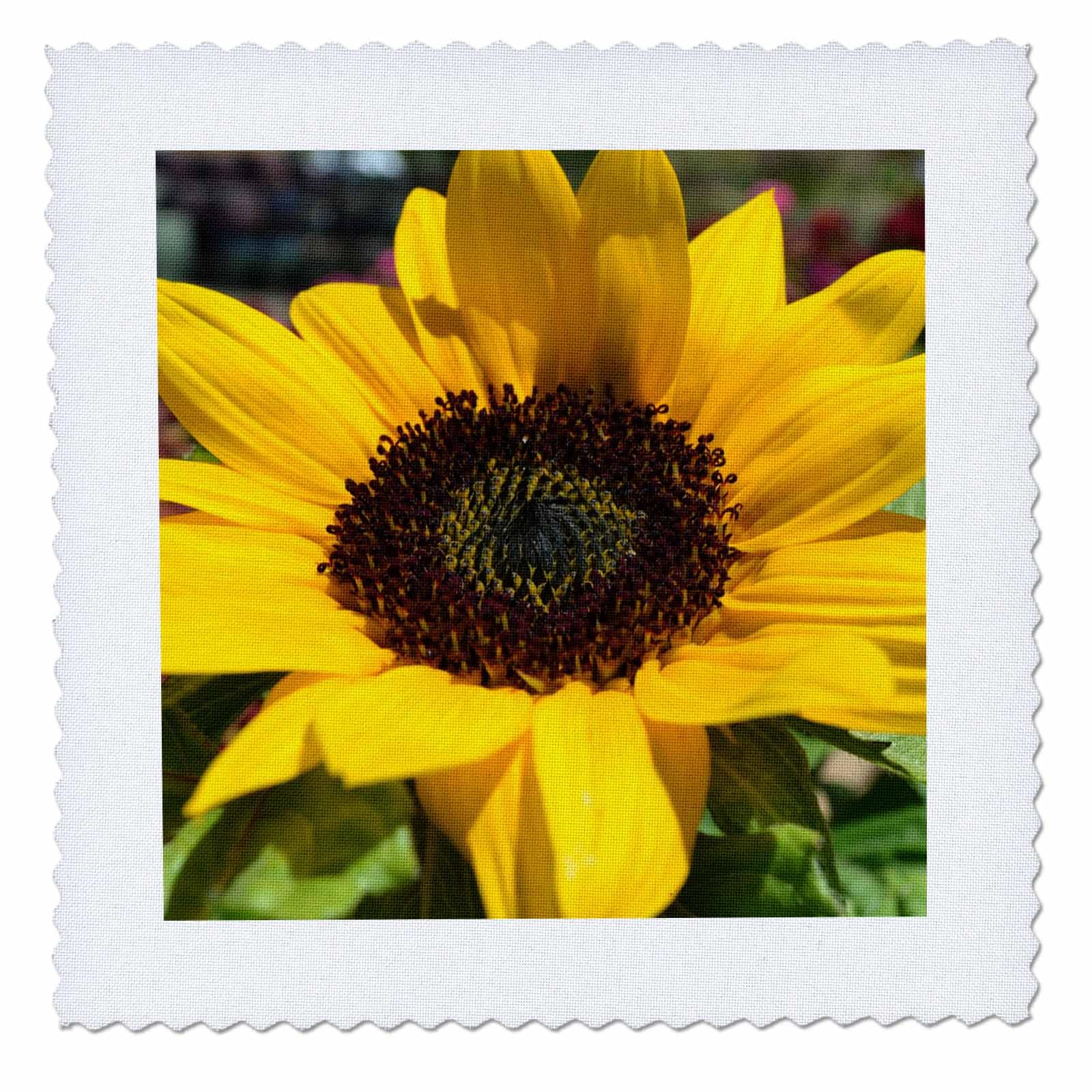 8x8 inch Quilt Square - Sunflower II Sanders Flowers