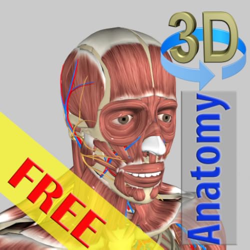 3D Anatomy Free