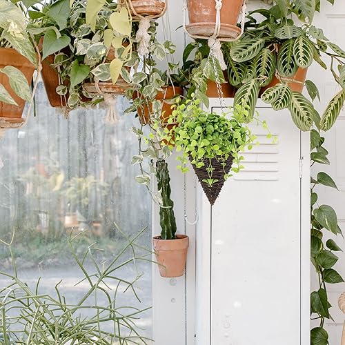 Miniatura 3 de Vaguelly 2 macetas colgantes de cono de 10.6 pulgadas, con forro y cadena