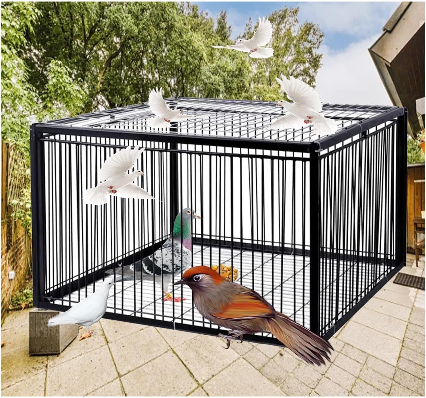 Chicken and Bird Trap Cage, Pigeon Trap Four-Sided one-Way Entrance Pigeon cage, Automatic snap System, Easy to Assemble and Install(Black,60 * 40cm)