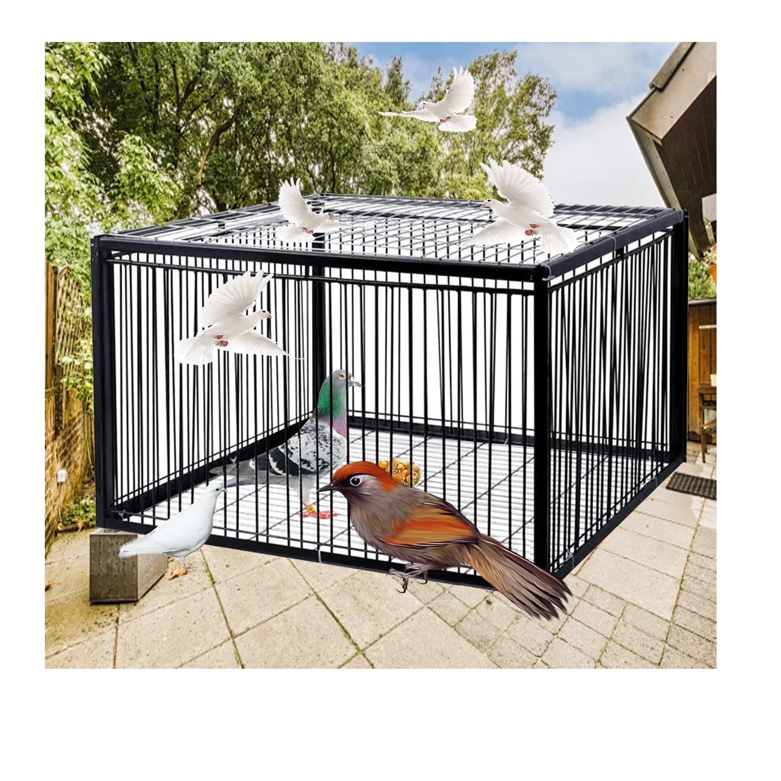 Trampa for pájaros Caza de Paloma, Jaula for Palomas con diseño a Prueba de Escape, Sistema de Encaje automático, fácil de Montar e Instalar.(Black,60 * 40cm)