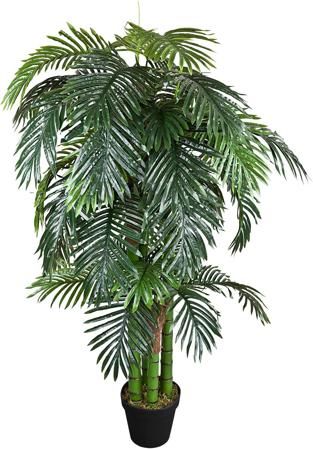 Kunstliche Palme Wie Echt