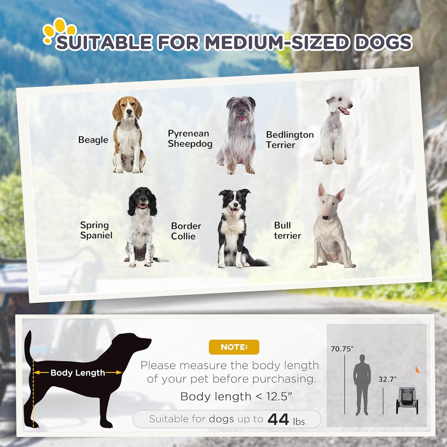 Hit the Trails with Your Pup: Review of the Aosom Dog Bike Trailer