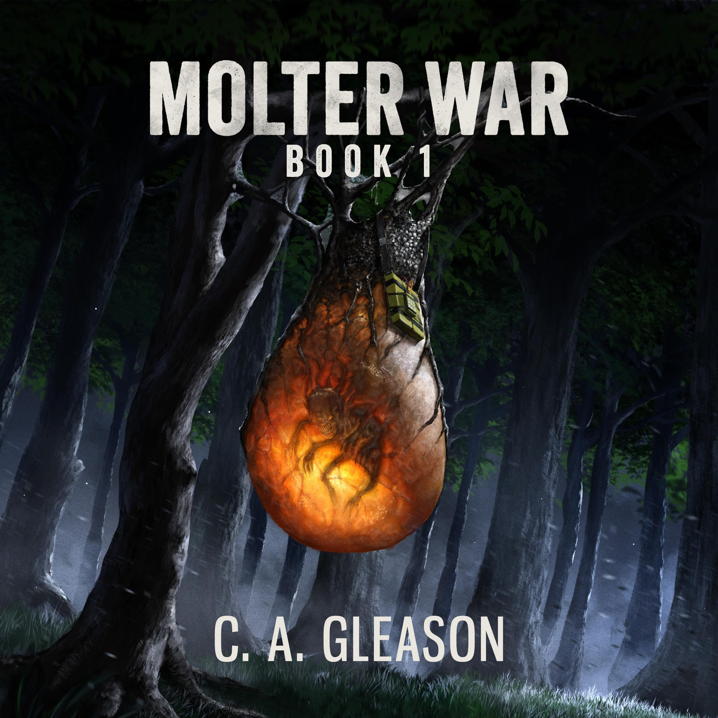 Cover art for Molter War
