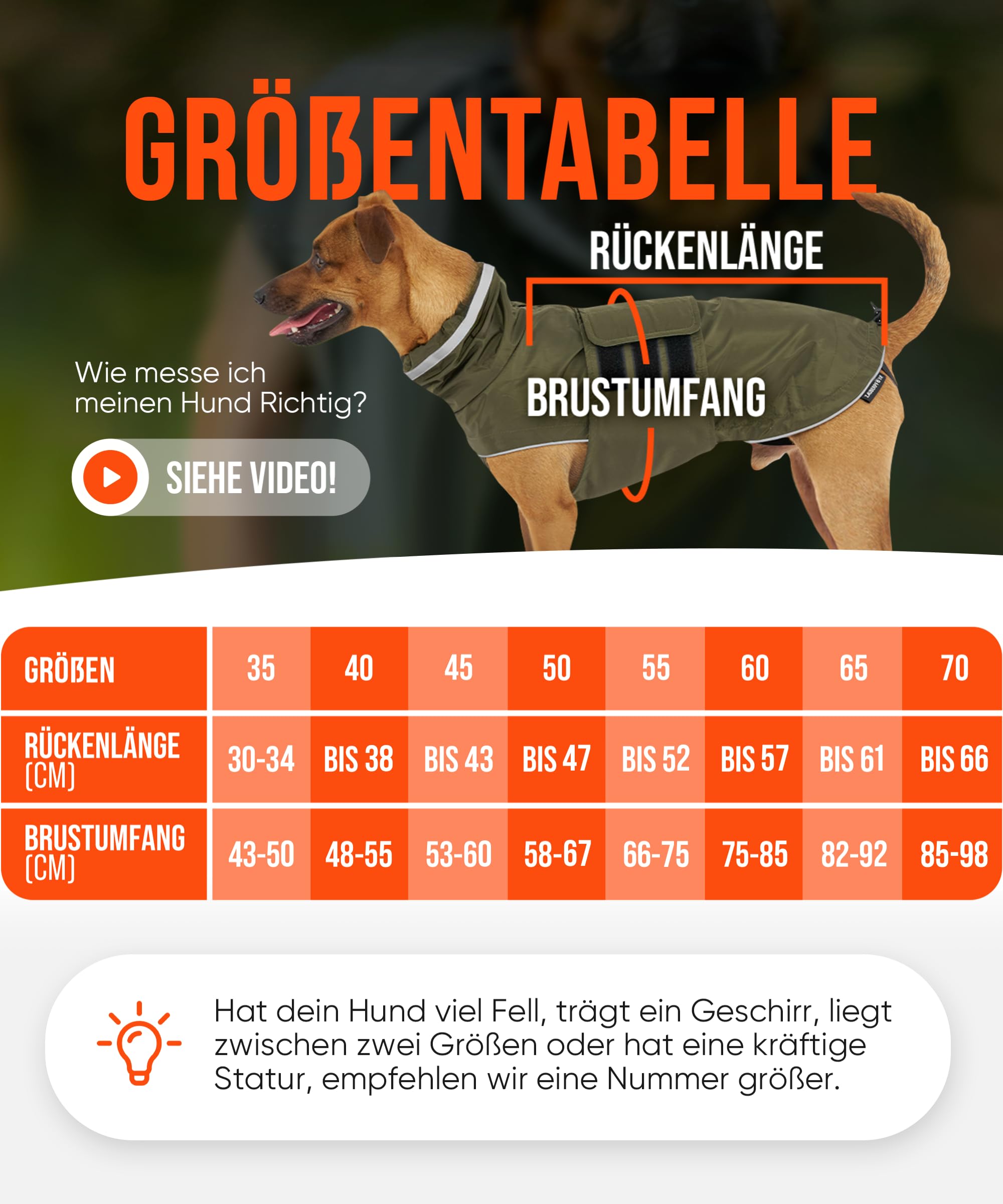 Hunderegenmantel London I Mit extra langem YKK® Reißverschluss für Halsband & Geschirr I Für kleine, mittlere & große Hunde I Wasserdicht & Maschinenwaschbar I Regenmantel für Hunde (45)