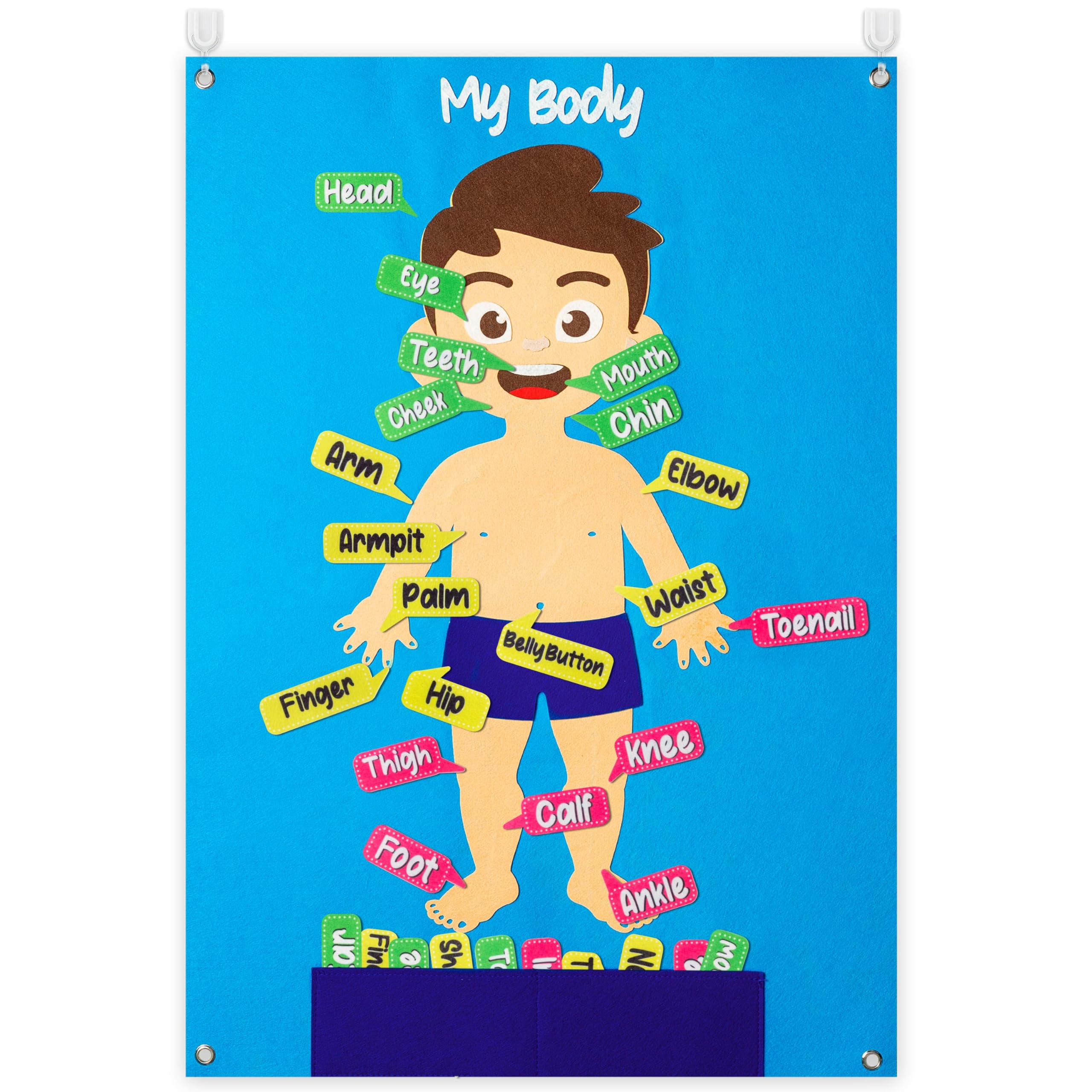 WATINC 35Pcs Body Parts Learning Felt Story Board Set Preschool Human Organ Educational Teaching Storytelling Early Learning Interactive Play Kit Wall Hanging Gift for Toddlers Kids 41 x 30 Inch