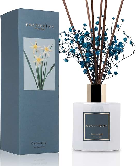Cocorrína Premium Reed Diffuser Set with Preserved Baby's Breath & Cotto...