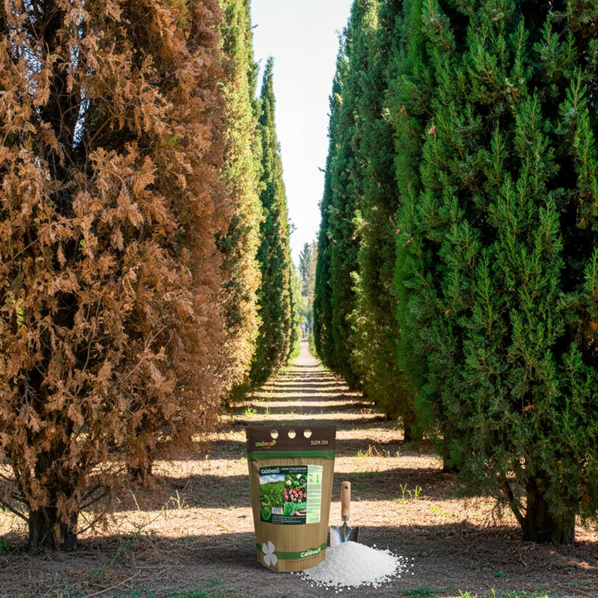 CULTIVERS Sulfato de Magnesio 1,5 kg | Sustancia Mineral Hidrosoluble para Jardinería y Uso Técnico | Disolución en Agua | Mantenimiento de Suelos y Superficies Exteriores