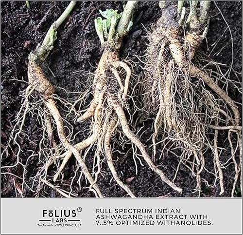 Miniatura 9 de Ashwagandha 7.5% Suplemento de apoyo energético a base de hierbas 500 mg - Apoyo para el alivio del estrés, apoyo natural del estado de ánimo -