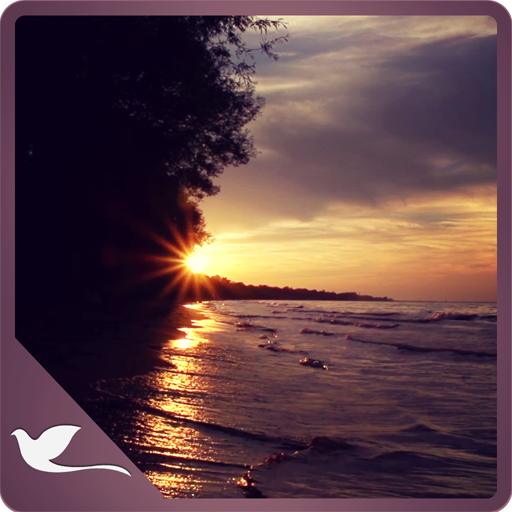 Mesmerizing Sunset Waves