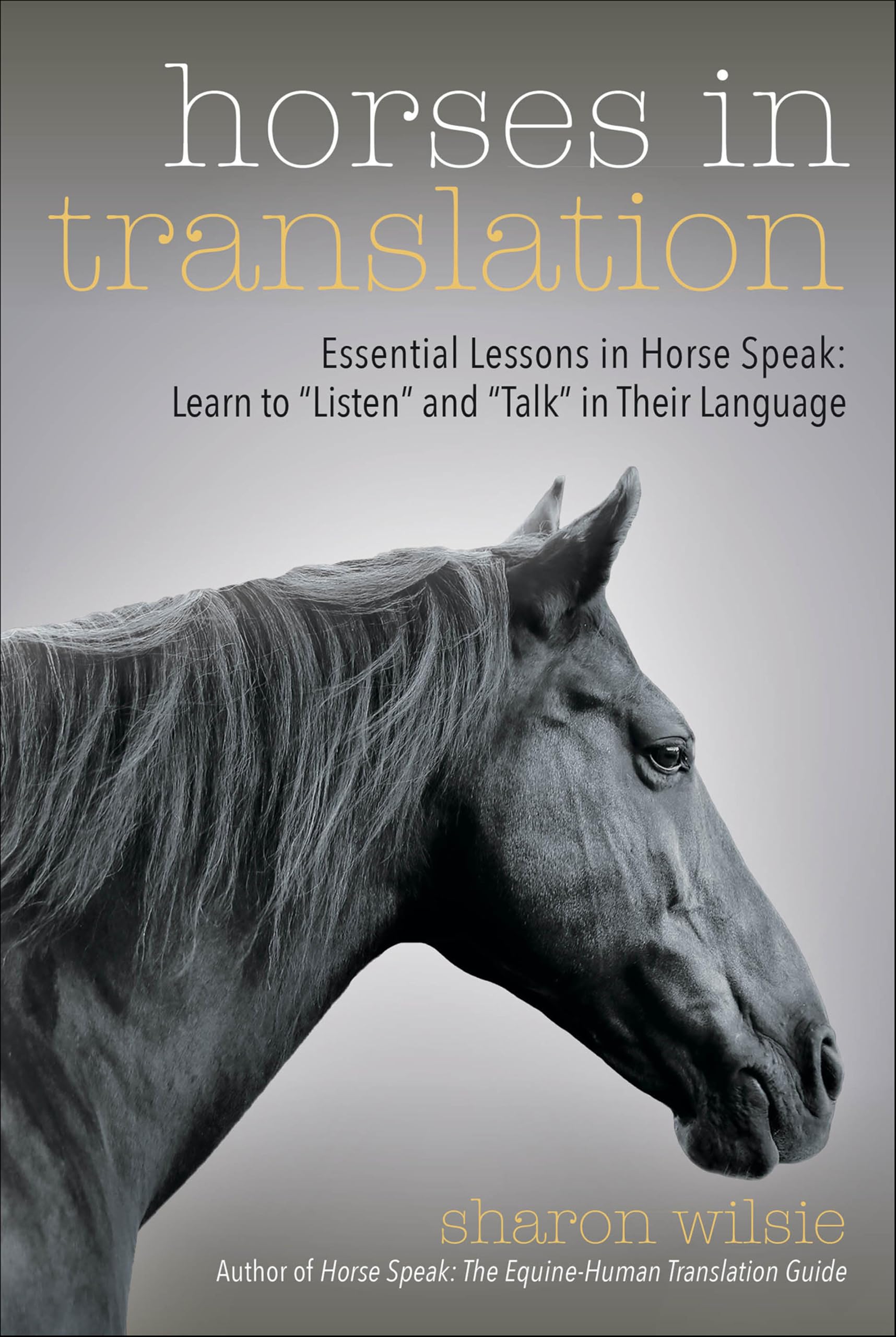 Horses in Translation: Essential Lessons in Horse Speak