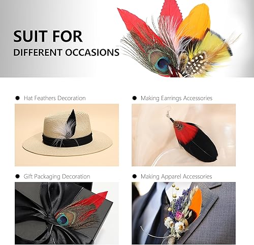 Miniatura 6 de Plumas de sombrero 20 estilos surtidos de plumas para sombreros Fedora, accesorios coloridos de plumas reales para hombres y mujeres
