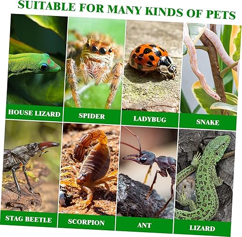 Miniatura 3 de POPETPOP Caja de cría de reptiles con forma de araña saltadora acrílico para reptiles, terrario, jaula de araña, caja transparente de alimentación