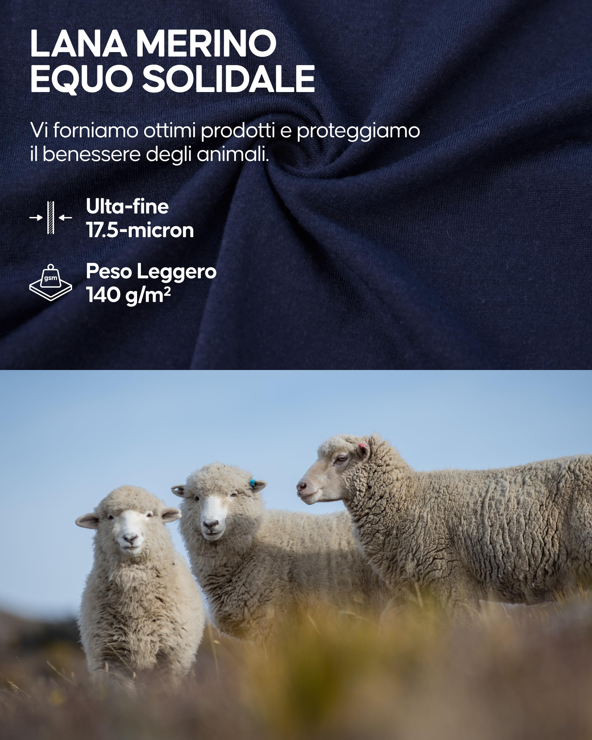 DANISH ENDURANCE Maglia Termica Uomo in 100% Lana Merino, Maglietta T-Shirt Maniche Corte, Traspirante e Anti-umidità, 1 o 2 Paia