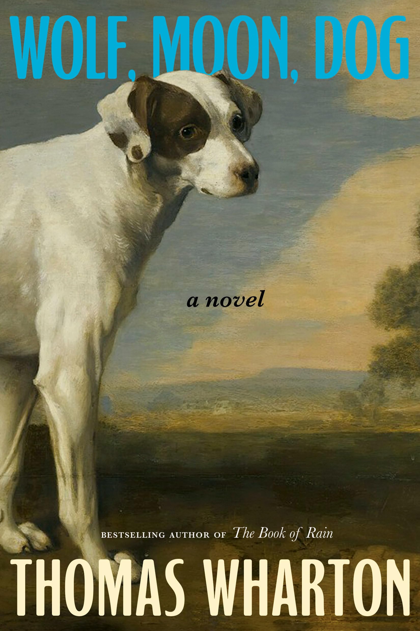 Wolf, Moon, Dog: A novel