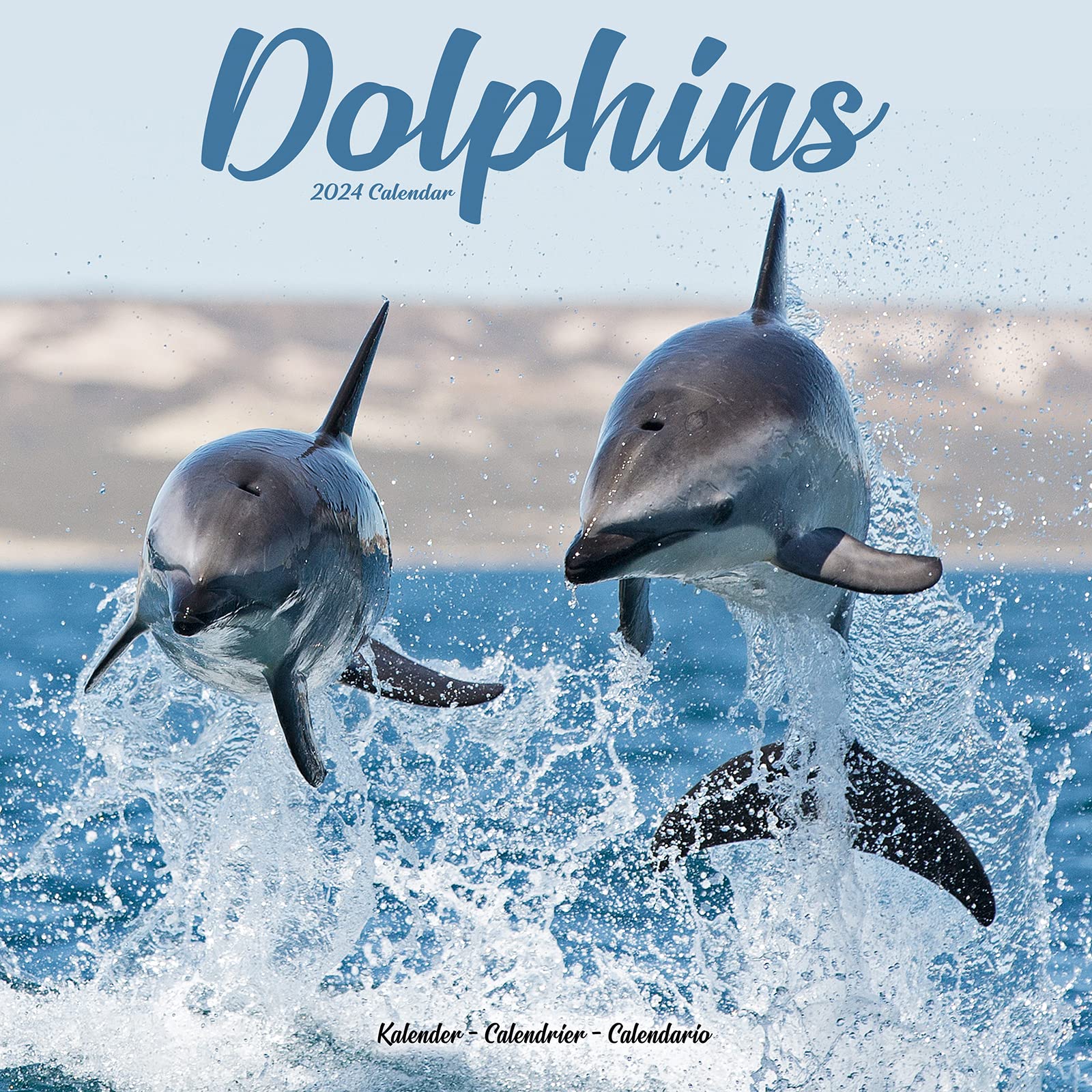Dolphins Calendar 2024 | Square Animal Wall Calendar - 16 Month