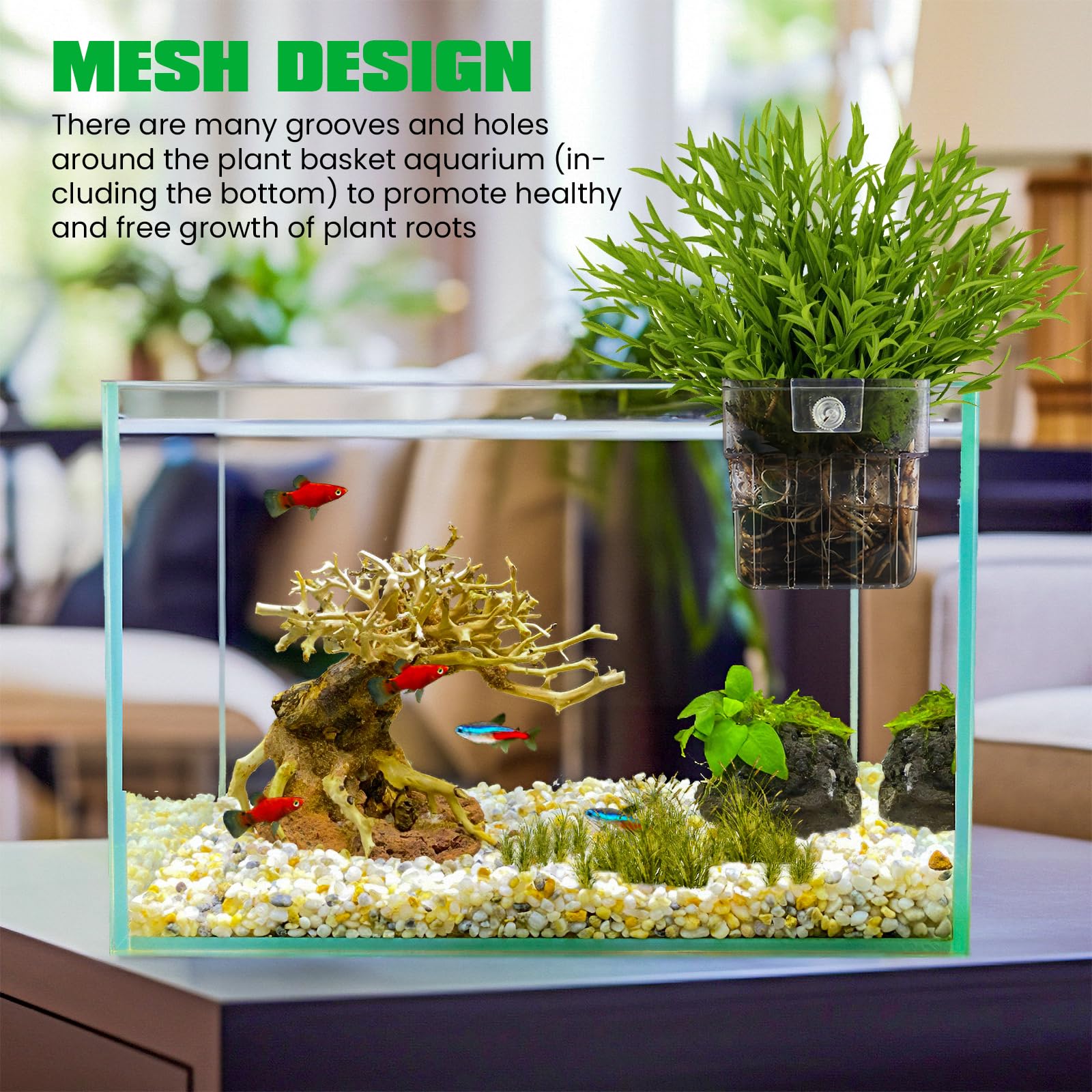GOMETY Lot de 6 supports de plantes d'aquarium transparents pour aquarium, paniers à plantes suspendus, avec trous, support pour plantes aquatiques, décoration d'aquarium