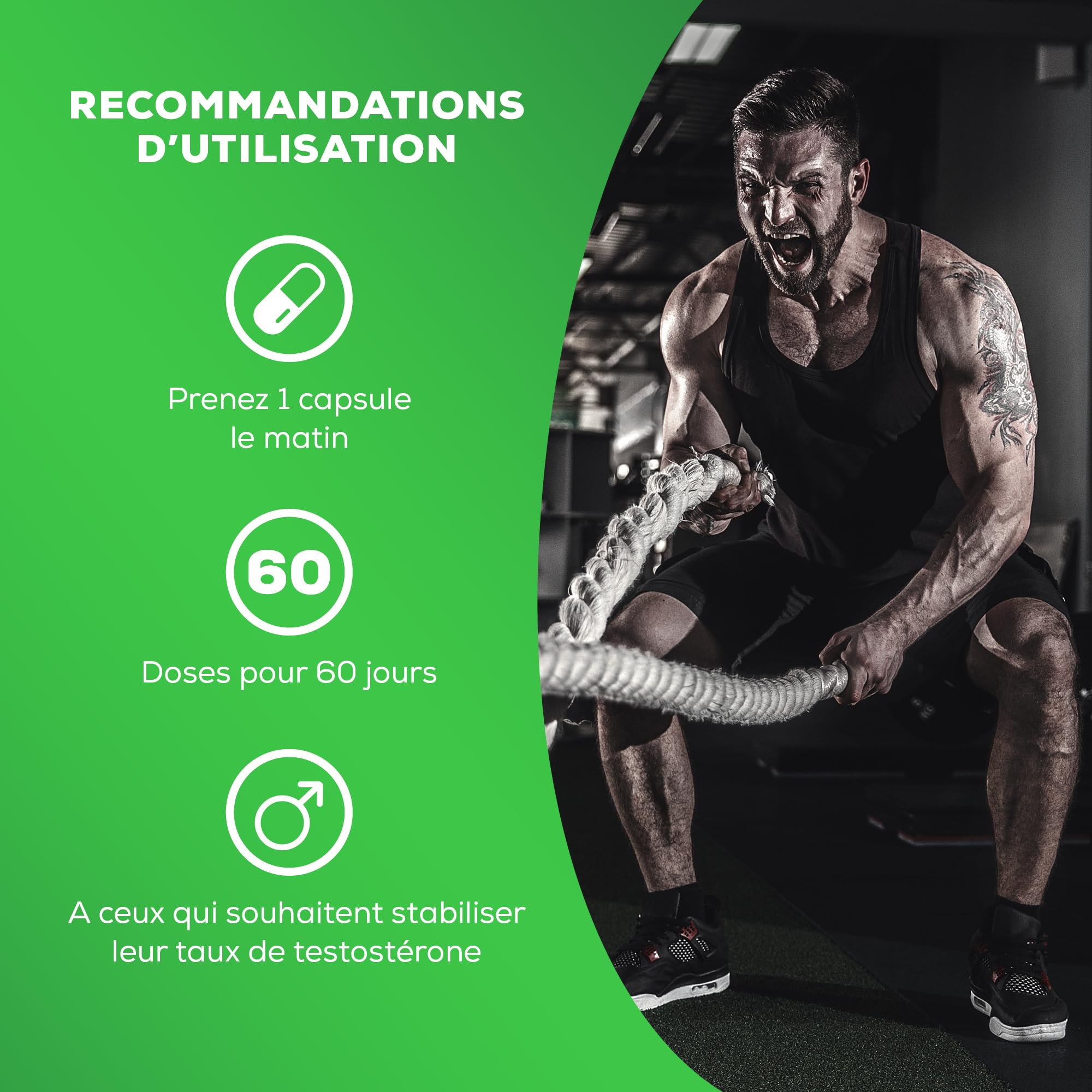 BioTechUSA ZMB Capsules | Optimiseur d'hormones | avec Zinc, Magnésium et Vitamine B6 | Soutien à la testostérone, 60 capsules