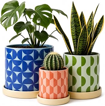 Original Earthlings Ceramic Plant Pots, Indoor Planters - Set of 3
