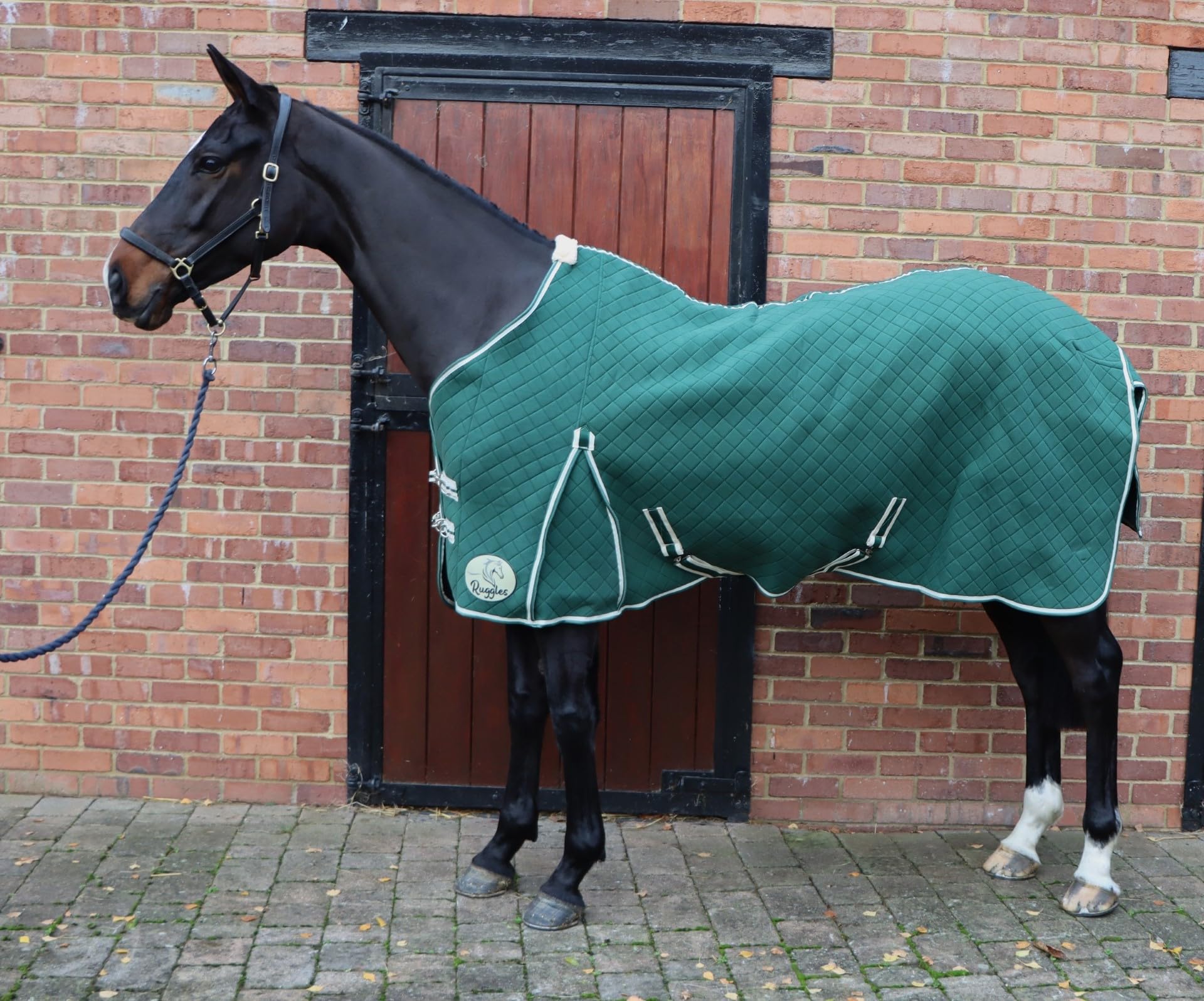 Ruggles Triple Layer Wicking Rug for Horse and Pony | Ideal for Travel Shows Stable and Cooling/Drying after Exercise or Bathing (5' 6", Hunter Green) โ image 1