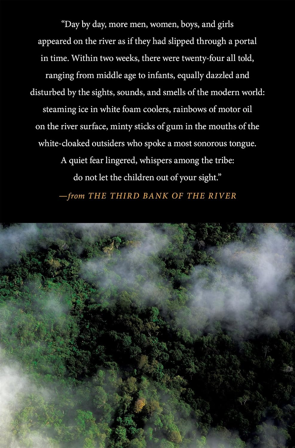 The Third Bank of the River: Power and Survival in the Twenty-First-Century Amazon