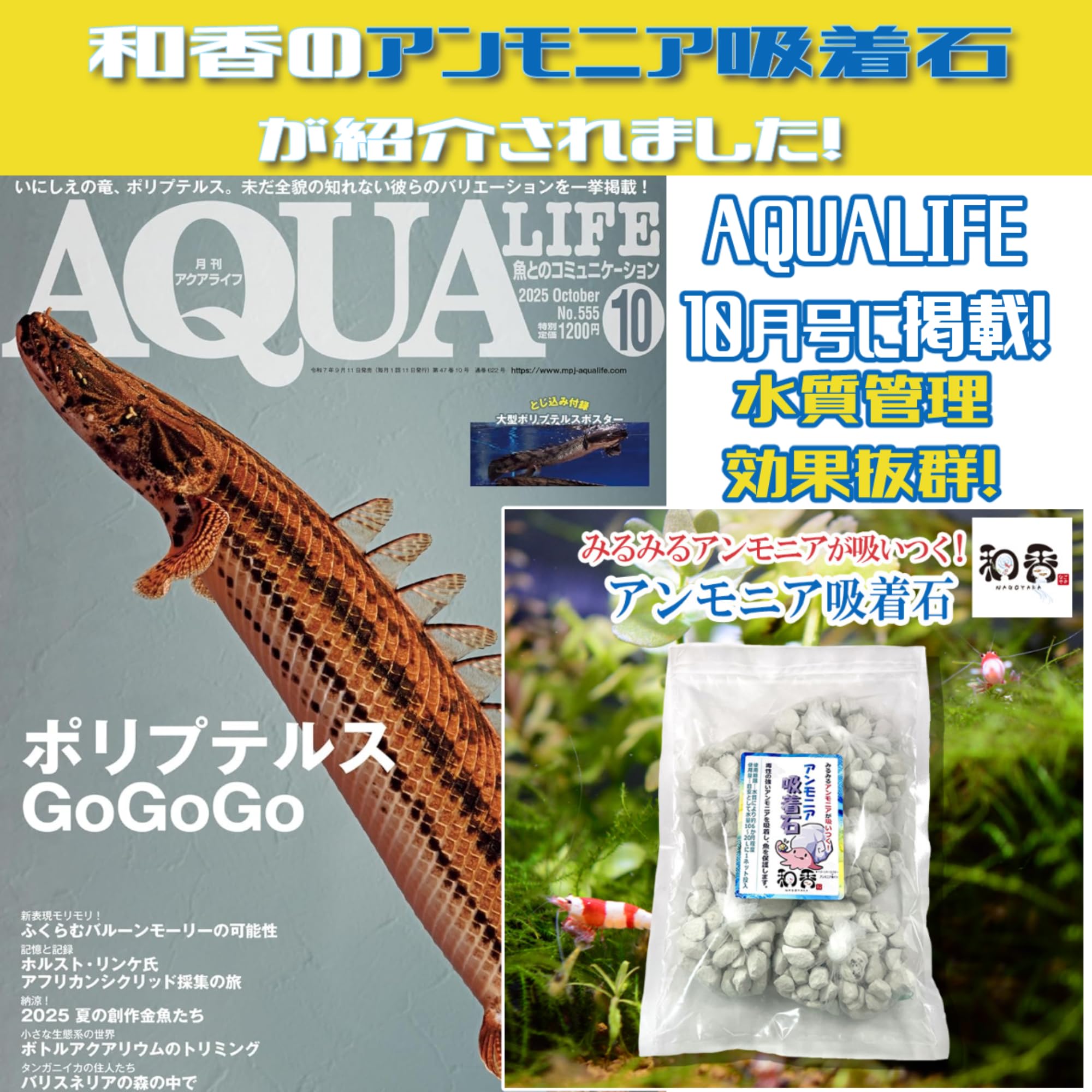 和香 アンモニア吸着石 ★安心正規品は和香★ メダカ 金魚 水槽 の 砂 石 ろ…