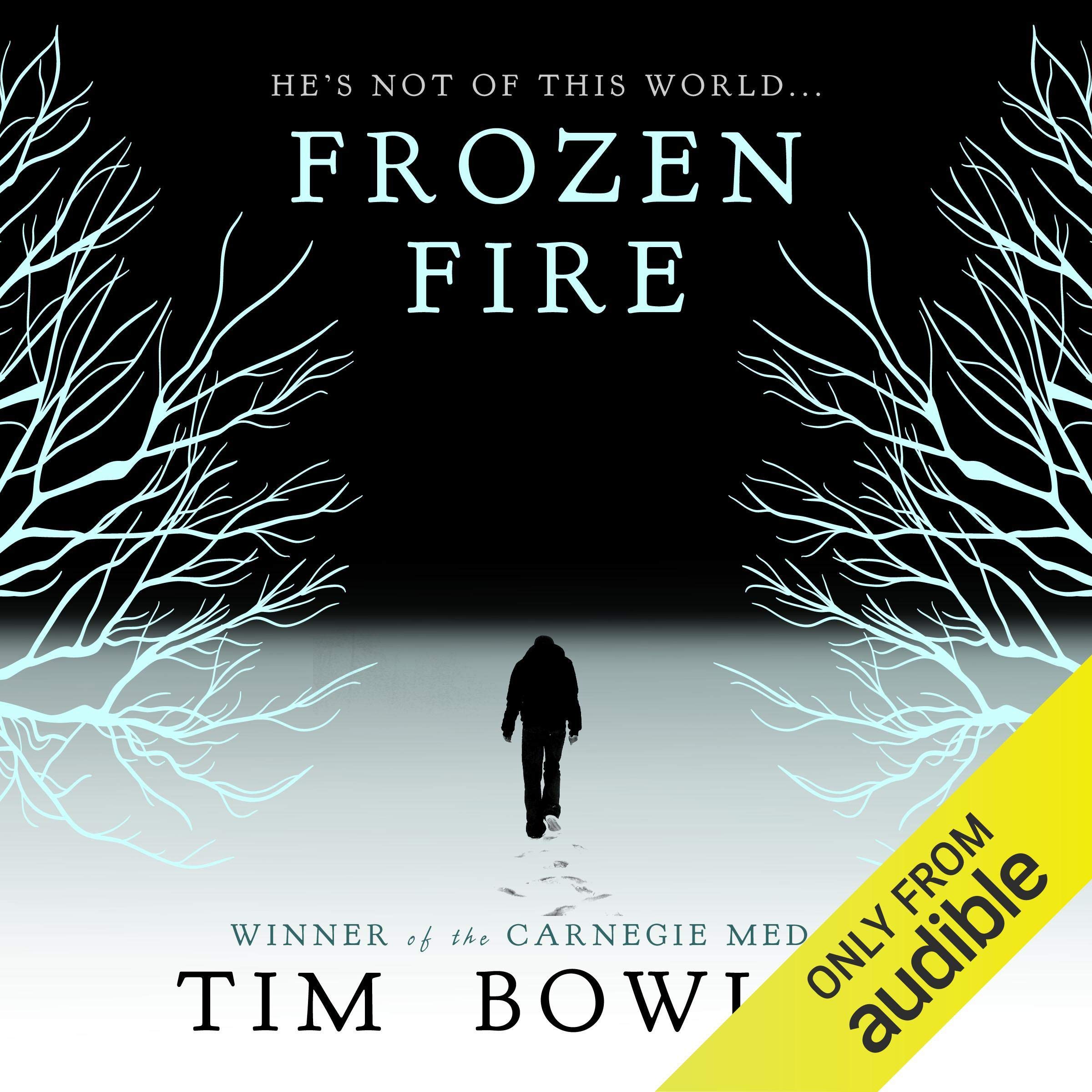 Cover art for Frozen Fire