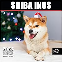 Vista 88 de MICASA PRESS Corgi Butts - Calendario de pared 2026 de 12 meses 12 x 24 pulgadas abierto Papel grueso y resistente Regalo de vacaciones